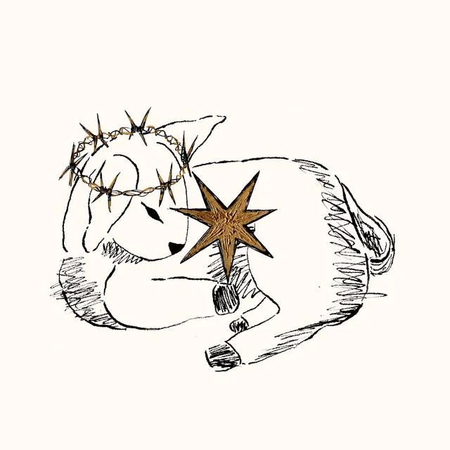 Un 2025 recorriendo discos